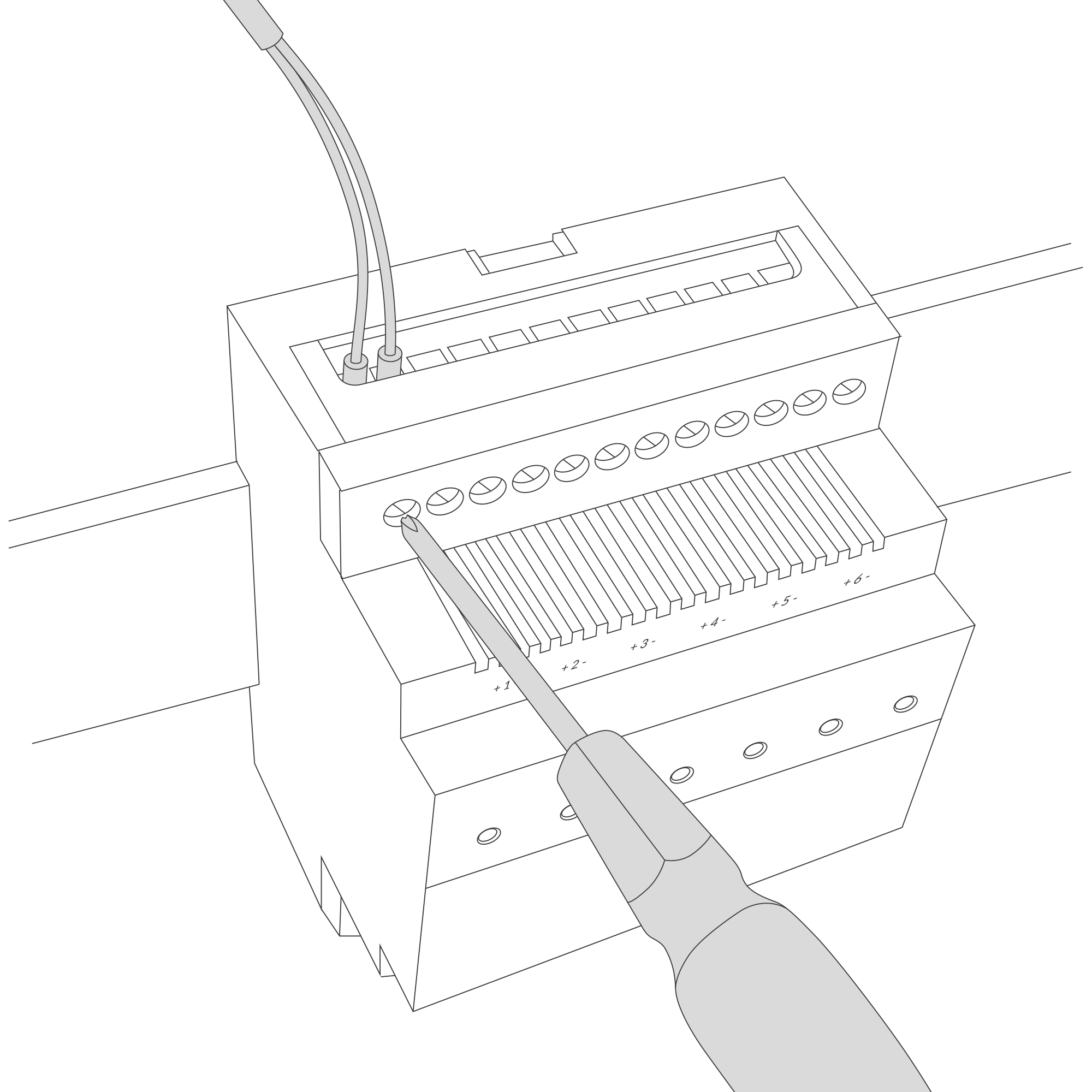 Connect the inputs to the individual channels of the device